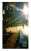 Photography • Dock Sun Beam by Greg Dampier All Rights Reserved.