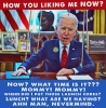 Truth A Ganda • Biden How You Like Me Now Truthaganda by Greg Dampier All Rights Reserved.